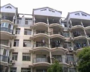 金谷明珠園 金谷明珠園