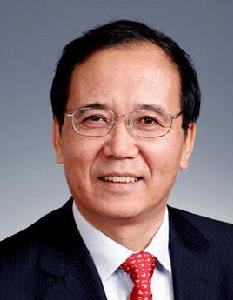 林建華[全國人大外事委員會副主任委員]