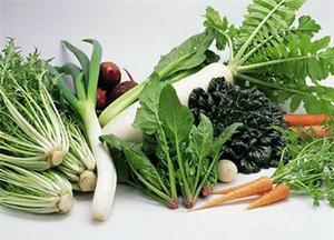 女性[漢語詞語]