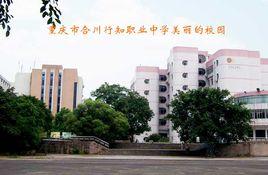 重慶合川行知中學 重慶合川行知中學