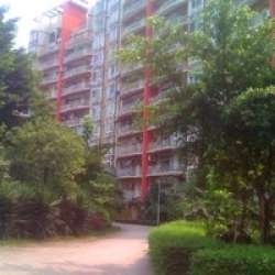 雙柏花園 雙柏花園