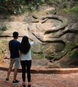 江口石龍 江口石龍