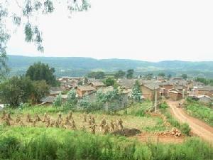 大密得村 大密得村