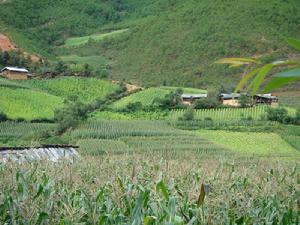 依隴村鄉村耕地鳥瞰