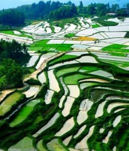 貴州省[中華人民共和國省級行政區]