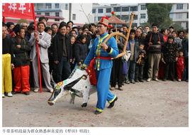 蘆溪上埠牛帶茶 蘆溪上埠牛帶茶