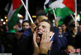 聯合國觀察員 聯合國觀察員