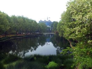 楓嶺公園 楓嶺公園