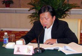 孟揚[國務院副秘書長、國家禁毒委副主任]