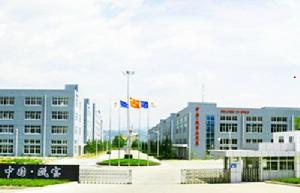 甌寶安防科技股份有限公司 甌寶安防科技股份有限公司