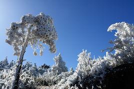德化九仙山 德化九仙山