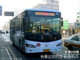長春公交230路 長春公交230路