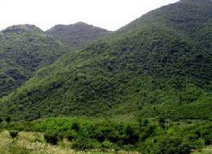 紅池壩高山草場
