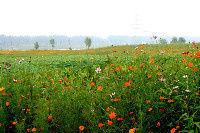 白塘河省級濕地保護園區