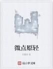 微點原輕 微點原輕