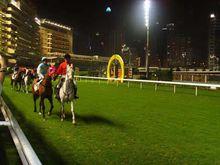 沙田馬場-彭福公園