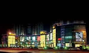 金鷹國際集團是南京市首家批准成立的大型多元化外資企業集團，截至2009年集團總