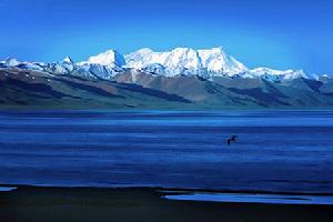 美麗的西藏高原