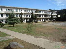 五里中心國小 五里中心國小