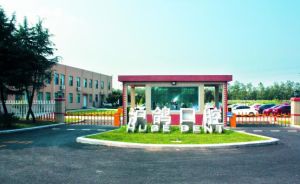 滬鴿口腔 滬鴿口腔