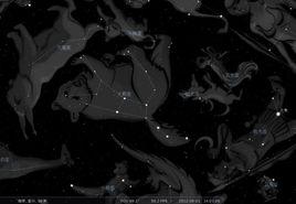 紫微帝星 紫微帝星