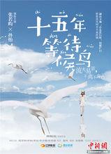 十五年等待候鳥