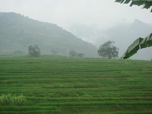訓練中寨村山林