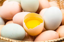土雞蛋