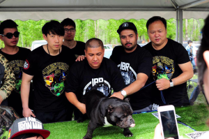 復仇者惡霸犬聯盟