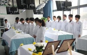 無語體師 無語體師