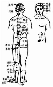 腎與膀胱相表里