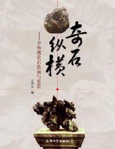 奇石縱橫 奇石縱橫