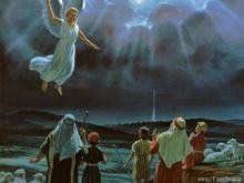 神的名字 神的名字