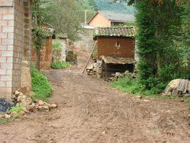 大歹克村 大歹克村