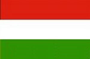 匈牙利軍情資料