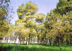 西鄂爾多斯自然保護區