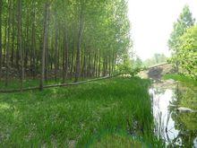 流經青邑的河流