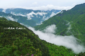 鳳陽山-百山祖自然保護區