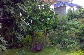 蓮花山高爾夫別墅 蓮花山高爾夫別墅