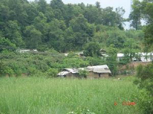 甘呂自然村 甘呂自然村