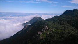 福建貓兒山國家森林公園 福建貓兒山國家森林公園