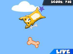 寵物跳水王 寵物跳水王