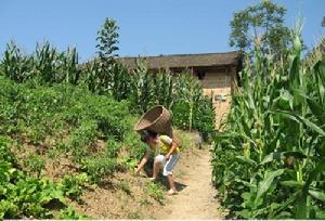 （圖）山丹丹計畫