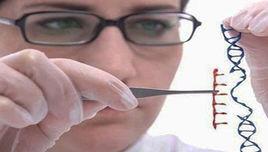 基因剪刀 基因剪刀