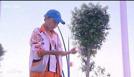 沈東[電視劇《火力少年王》系列中的人物]