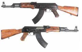 非自動步槍 非自動步槍