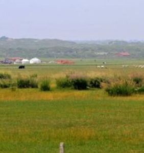 巴彥胡舒蘇木 巴彥胡舒蘇木