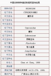 長須卷口魚 長須卷口魚