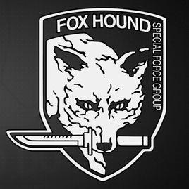 獵狐犬特種部隊