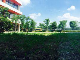 無錫市協和雙語國際學校 無錫市協和雙語國際學校